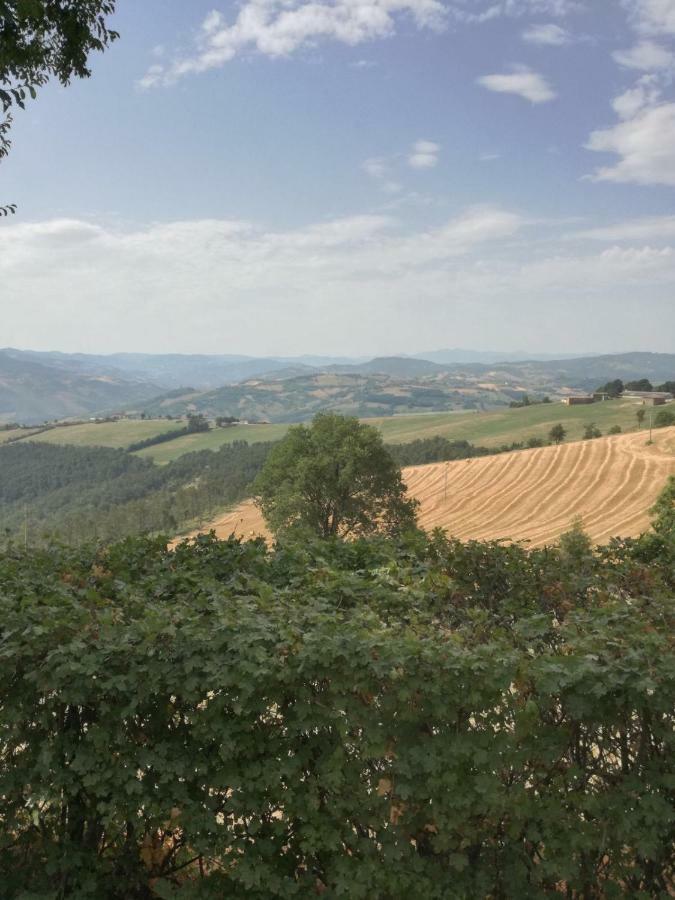 La Furbera B&B Marano sul Panaro エクステリア 写真